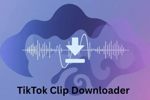 TikTok Clip Downloader